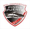 C.D. PVO. PINOS PUENTE