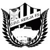 CD CULTURAL NERJA FÚTBOL SALA