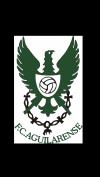 AGUILARENSE FUTBOL CLUB