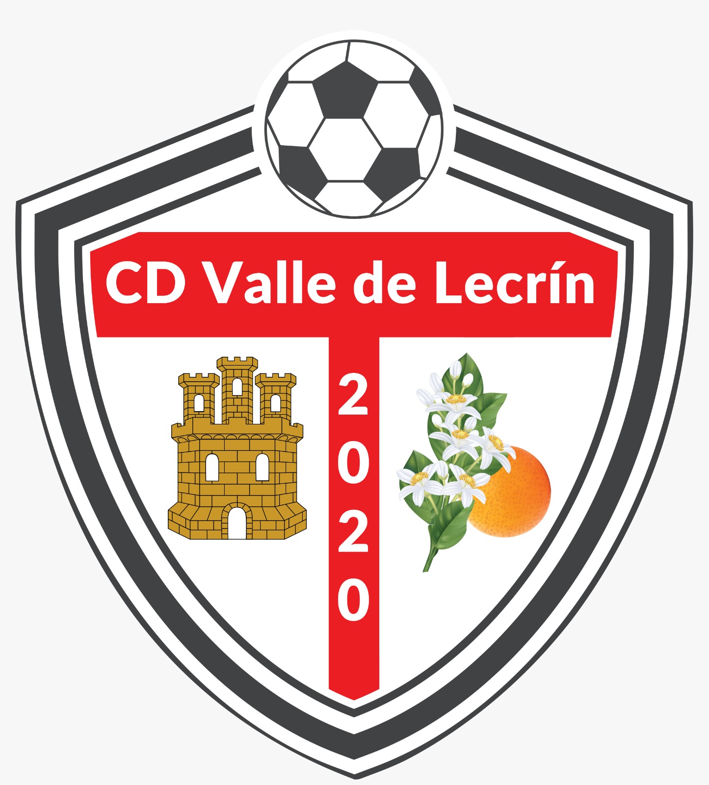CLUB DE FÚTBOL VALLE DE LECRÍN