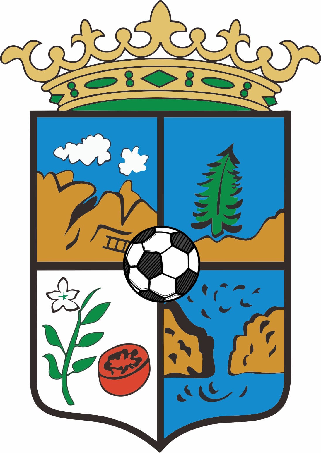 CLUB DEPORTIVO TOLOX CLUB DE FUTBOL