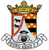 C.D. PEDRO ABAD C.F.