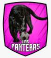 C.D. LAS PANTERAS