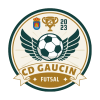 CLUB DEPORTIVO GAUCÍN FUTSAL