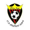 C.D. ATLETICO SUMI