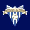 FUENSANTA C.F.